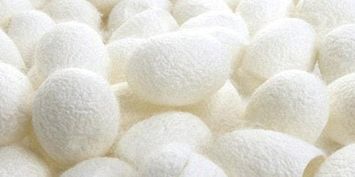 NZ Guide To Buying A Silk Pillowcase | Monday Silks NZ